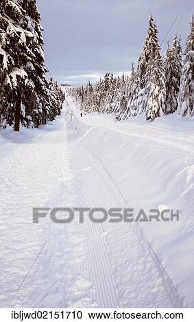 Ski and walking trail near Fichtelberg, Oberwiesenthal, Saxony, Germany, Europe View Large Photo Image Stock Image - Ski and walking trail near Fichtelberg, Oberwiesenthal, Saxony, Germany, Europe. Fotosearch
