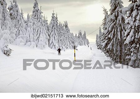 Ski and walking trail near Fichtelberg, Oberwiesenthal, Saxony, Germany, Europe View Large Photo Image Stock Image - Ski and walking trail near Fichtelberg, Oberwiesenthal, Saxony, Germany, Europe. Fotosearch