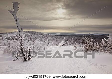 Ski and walking trail near Fichtelberg, Oberwiesenthal, Saxony, Germany, Europe View Large Photo Image Stock Photo - Ski and walking trail near Fichtelberg, Oberwiesenthal, Saxony, Germany, Europe. Fotosearch