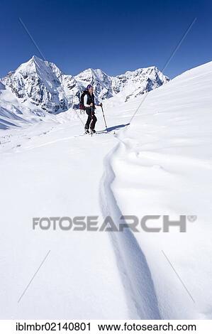 Ski tourer ascending to the Hinteren Schoentaufspitze peak, Solda, behind the Koenigspitze, Mt. Ortler and Zebru peak, South Tyrol, Italy, Europe View Large Photo Image Stock Image - Ski tourer ascending to the Hinteren Schoentaufspitze peak, Solda, behind the Koenigspitze, Mt. Ortler and Zebru peak, South Tyrol, Italy, Europe. Fotosearch