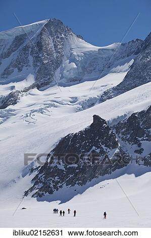Stock Image - Ski touring on the Fiescher Glacier in front of Mt Wannenhorn, view from Finsteraarhorn Hut, Valais, Switzerland, Europe. Fotosearch