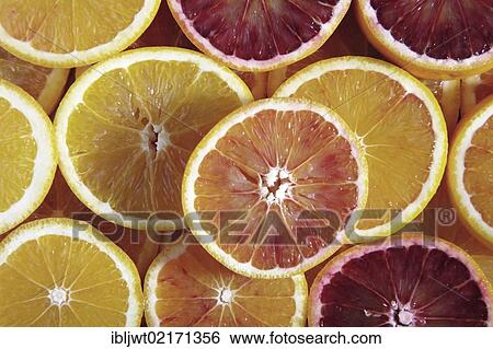 Slices of oranges, blood oranges View Large Photo Image Stock Photograph - Slices of oranges, blood oranges. Fotosearch