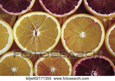 Slices of oranges, blood oranges View Large Photo Image Stock Photography - Slices of oranges, blood oranges. Fotosearch