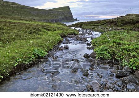 Smidjuvik, east coast of Hornstrandir, Westfjords, Iceland, Europe View Large Photo Image Stock Image - Smidjuvik, east coast of Hornstrandir, Westfjords, Iceland, Europe. Fotosearch