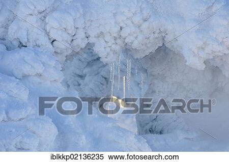 Stock Photography - Snow-covered spruces with icicles on Brocken Mountain, Saxony-Anhalt, Germany, Europe. Fotosearch