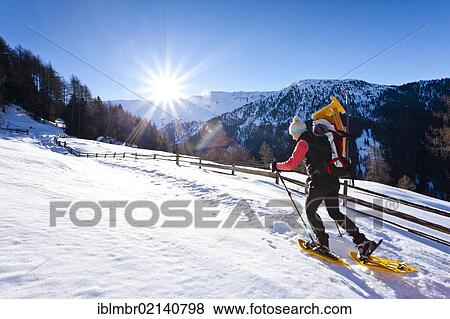 Snowshoe walkers ascending to the Plattenspitze peak above Durnholz, Sarntal, South Tyrol, Italy, Europe View Large Photo Image Stock Photo - Snowshoe walkers ascending to the Plattenspitze peak above Durnholz, Sarntal, South Tyrol, Italy, Europe. Fotosearch