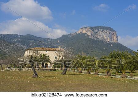 Picture - Soucadena Table Mountain, Serra de Tramuntana, Majorca, Balearic Islands, Spain, Europe. Fotosearch