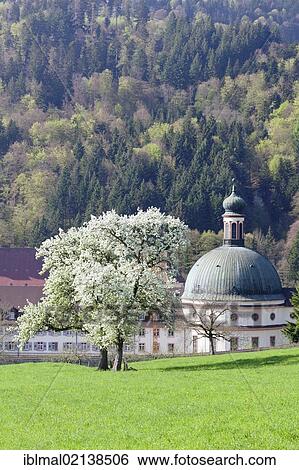 St. Trudpert's Abbey, Muenstertal Valley, Black Forest, Baden-Wuerttemberg, Germany, Europe View Large Photo Image Stock Photograph - St. Trudpert's Abbey, Muenstertal Valley, Black Forest, Baden-Wuerttemberg, Germany, Europe. Fotosearch