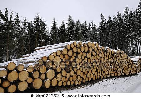 Stock Photography - Stack of logs in the Harz, Saxony-Anhalt, Germany, Europe. Fotosearch
