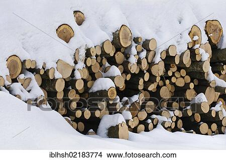 Stacked firewood, beech wood, in the snow View Large Photo Image Picture - Stacked firewood, beech wood, in the snow. Fotosearch