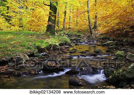 Stock Photo - Stream of Ilse in autumn, Ilsetal, Harz, Saxony-Anhalt, Germany, Europe. Fotosearch