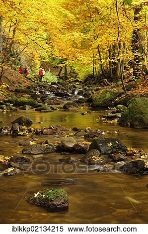 Stock Photography - Stream of Ilse in autumn, Ilsetal, Harz, Saxony-Anhalt, Germany, Europe. Fotosearch