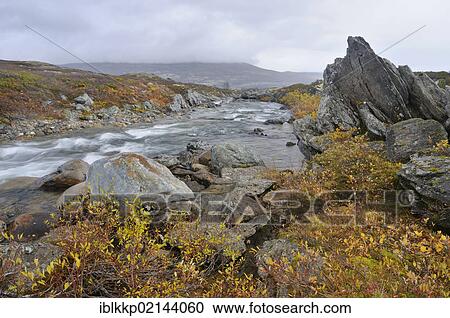 Stropla stream in Dovrefjell Sunndalsfjella National Park, Norway, Europe View Large Photo Image Stock Image - Stropla stream in Dovrefjell Sunndalsfjella National Park, Norway, Europe. Fotosearch