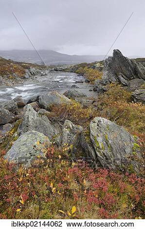 Stropla stream in Dovrefjell Sunndalsfjella National Park, Norway, Europe View Large Photo Image Stock Image - Stropla stream in Dovrefjell Sunndalsfjella National Park, Norway, Europe. Fotosearch