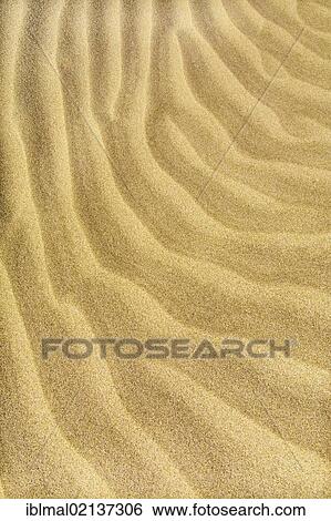Structure of a sand dune, Lanzarote, Canary Islands, Spain, Europe View Large Photo Image Stock Photograph - Structure of a sand dune, Lanzarote, Canary Islands, Spain, Europe. Fotosearch