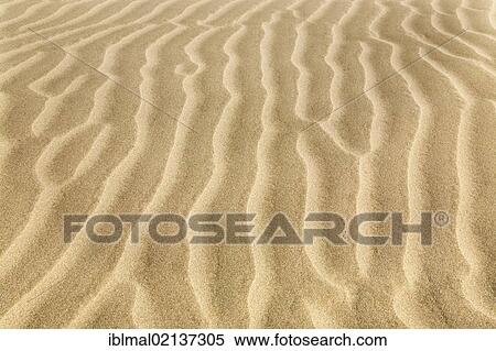 Structure of a sand dune, Lanzarote, Canary Islands, Spain, Europe View Large Photo Image Stock Photography - Structure of a sand dune, Lanzarote, Canary Islands, Spain, Europe. Fotosearch