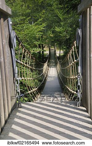Picture - Suspension bridge, 40m, near Kuehhude at Rothaarsteig hiking trail, above a valley as part of the sculpture experience forest path, Siegen-Wittgenstein, North Rhine-Westphalia, Germany, Europe. Fotosearch