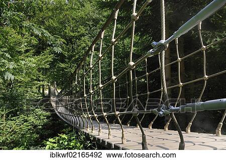 Stock Image - Suspension bridge, 40m, near Kuehhude at Rothaarsteig hiking trail, above a valley as part of the sculpture experience forest path, Siegen-Wittgenstein, North Rhine-Westphalia, Germany, Europe. Fotosearch