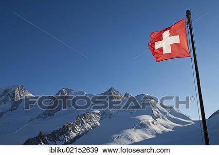 Swiss flag fling in front of mountains Wyssnollen, Fiescher Gabelhorn, Schoenbuehlhorn, Wannenhorn, view from Finsteraarhorn Hut, Valais, Switzerland, Europe View Large Photo Image Stock Photo - Swiss flag fling in front of mountains Wyssnollen, Fiescher Gabelhorn, Schoenbuehlhorn, Wannenhorn, view from Finsteraarhorn Hut, Valais, Switzerland, Europe. Fotosearch