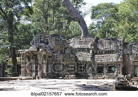 Ta Prohm temple complex, Angkor, Siem Reap, Cambodia, Southeast Asia, Asia View Large Photo Image Stock Photo - Ta Prohm temple complex, Angkor, Siem Reap, Cambodia, Southeast Asia, Asia. Fotosearch