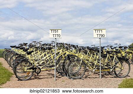 Tandem bicycles for hire on the island of Hven or Ven in Oresund, Sweden, Europe View Large Photo Image Stock Image - Tandem bicycles for hire on the island of Hven or Ven in Oresund, Sweden, Europe. Fotosearch