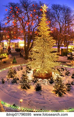 The Christmas tree in Tivoli, Copenhagen, Denmark, Europe View Large Photo Image Stock Photography - The Christmas tree in Tivoli, Copenhagen, Denmark, Europe. Fotosearch