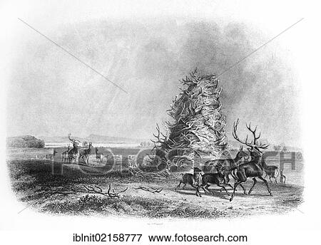 The Elkhorn Pyramid, illustration from Travels in the Interior of North America, 1832-1834, by Prince Maximilian of Wied, illustrations by Carl Bodmer, Koblenz, 1839 View Large Photo Image Stock Photo - The Elkhorn Pyramid, illustration from Travels in the Interior of North America, 1832-1834, by Prince Maximilian of Wied, illustrations by Carl Bodmer, Koblenz, 1839. Fotosearch