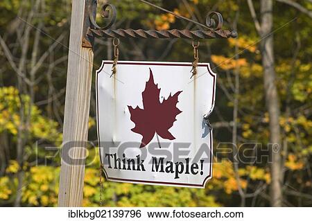 Stock Photograph - Think Maple!, maple syrup sign, Vermont, New England, USA, North America. Fotosearch