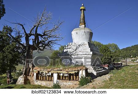 Picture - Tibetan Buddhism, centuries-old juniper trees and a Stupa or Chorten in the mountains of Reting Monastery, Mount Gangi Rarwa, Himalaya, Lhundrup district, central Tibet, Tibet, China, Asia. Fotosearch