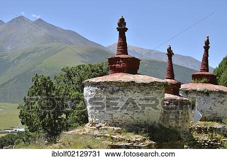 Tibetan Buddhism, centuries-old juniper trees and stupa, chorten, in the mountains of Reting Monastery, Mount Gangi Rarwa, Himalayas, Lhundrup district, central Tibet, Tibet, China, Asia View Large Photo Image Stock Image - Tibetan Buddhism, centuries-old juniper trees and stupa, chorten, in the mountains of Reting Monastery, Mount Gangi Rarwa, Himalayas, Lhundrup district, central Tibet, Tibet, China, Asia. Fotosearch