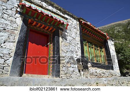 Tibetan dog in front of a red door of a traditional Tibetan building, home of the nunnery in the mountains of Reting Monastery, Mount Gangi Rarwa, Himalaya, Lhundrup district, central Tibet, Tibet, China, Asia View Large Photo Image Stock Image - Tibetan dog in front of a red door of a traditional Tibetan building, home of the nunnery in the mountains of Reting Monastery, Mount Gangi Rarwa, Himalaya, Lhundrup district, central Tibet, Tibet, China, Asia. Fotosearch