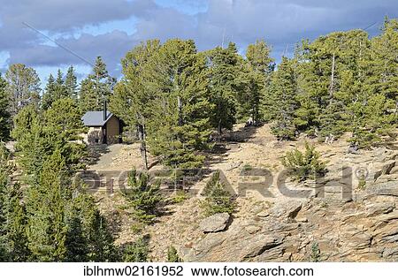 Stock Image - Toilet hut at Juniper Pass, State Road 103, Mount Evans Wilderness Arapaho National Forest, Idaho Springs, Colorado, USA, North America. Fotosearch