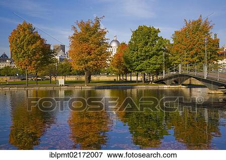 Trees reflected in Bassin Bonsecours in autumn, Old Port of Montreal, Quebec, Canada, North America View Large Photo Image Stock Photo - Trees reflected in Bassin Bonsecours in autumn, Old Port of Montreal, Quebec, Canada, North America. Fotosearch