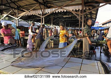 Tuna at the fish market in Kota Biak, Biak Island, Irian Jaya, Indonesia, Southeast Asia, Asia View Large Photo Image Stock Photo - Tuna at the fish market in Kota Biak, Biak Island, Irian Jaya, Indonesia, Southeast Asia, Asia. Fotosearch