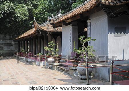 Turtle steles, Temple of Literature, Van Mieu, historic town centre, Hanoi, Vietnam, Southeast Asia, Asian, Asia View Large Photo Image Picture - Turtle steles, Temple of Literature, Van Mieu, historic town centre, Hanoi, Vietnam, Southeast Asia, Asian, Asia. Fotosearch