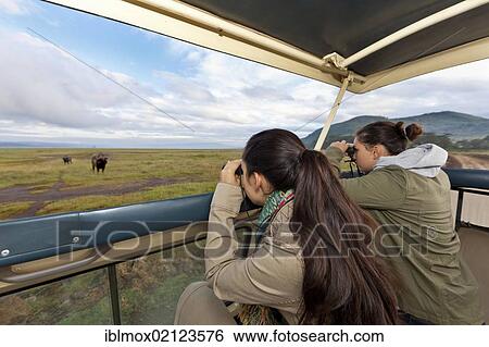 Two girls, about 13 and 18 years, watching buffalos through binoculars, Lake Nakuru National Park, Kenya, East Africa, PublicGround, Africa View Large Photo Image Stock Photograph - Two girls, about 13 and 18 years, watching buffalos through binoculars, Lake Nakuru National Park, Kenya, East Africa, PublicGround, Africa. Fotosearch