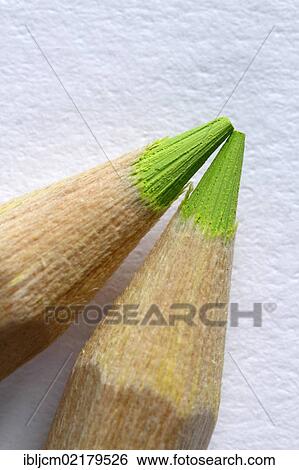 Stock Photograph - Two green coloured pencils. Fotosearch