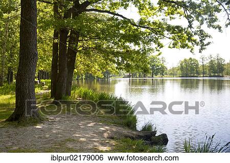 Upper Lusatian Heath and Pond Landscape, ponds in the Weissiger pond area, Bautzen region, Saxony, Germany, Europe View Large Photo Image Stock Photograph - Upper Lusatian Heath and Pond Landscape, ponds in the Weissiger pond area, Bautzen region, Saxony, Germany, Europe. Fotosearch