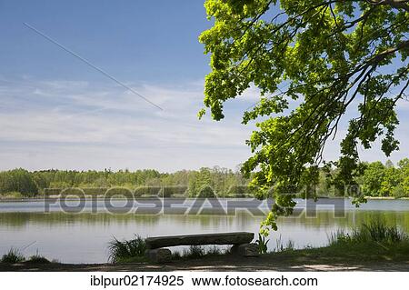 Upper Lusatian heath and pond landscape, ponds in the Weissiger pond region, Bautzen district, Saxony, Germany, Europe View Large Photo Image Stock Photography - Upper Lusatian heath and pond landscape, ponds in the Weissiger pond region, Bautzen district, Saxony, Germany, Europe. Fotosearch