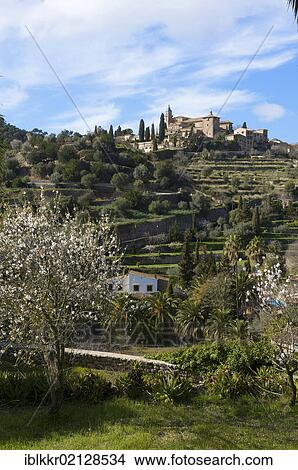 Valldemossa, Serra de Tramuntana, Majorca, Balearic Islands, Spain, Europe View Large Photo Image Picture - Valldemossa, Serra de Tramuntana, Majorca, Balearic Islands, Spain, Europe. Fotosearch