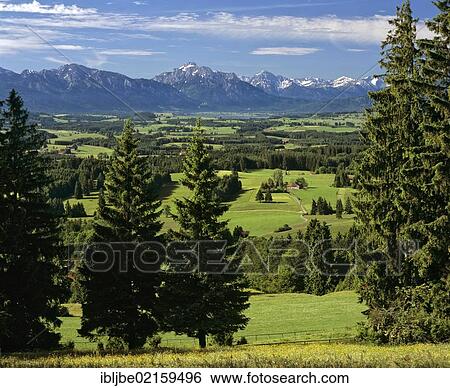 View from Auerberg Mountain, Ammer Valley Alps, Tegelberg, Saeuling, Thannheim Mountains, Allgaeu, Swabia, Bavaria, Germany, Europe View Large Photo Image Stock Photograph - View from Auerberg Mountain, Ammer Valley Alps, Tegelberg, Saeuling, Thannheim Mountains, Allgaeu, Swabia, Bavaria, Germany, Europe. Fotosearch