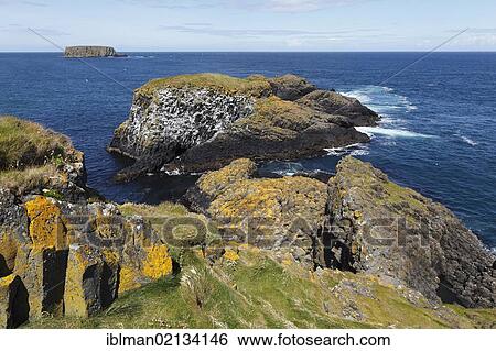 Stock Photograph - View from the island of Carrick-a-Reed to Sheep Island, County Antrim, Northern Ireland, United Kingdom, Europe. Fotosearch