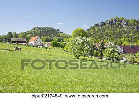 Stock Photo - View over Papstdorf with Papststein Mountain and Gohrisch Mountain, Elbe Sandstone Mountains, Saxony, Germany, Europe. Fotosearch