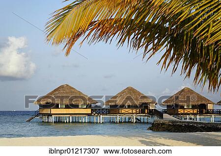 Water bungalows, beach, Vadoo, island, South Male Atoll, Maldives, archipelago, Indian Ocean, Asia View Large Photo Image Stock Photo - Water bungalows, beach, Vadoo, island, South Male Atoll, Maldives, archipelago, Indian Ocean, Asia. Fotosearch