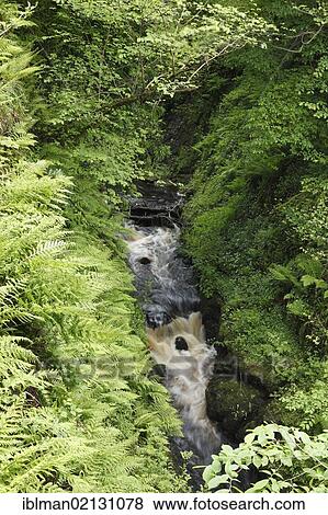 Stock Photo - Waterfall, Glenariff River, Glenariffe Forest Park, Glenariff, Glens of Antrim, County Antrim, Northern Ireland, United Kingdom, Europe. Fotosearch