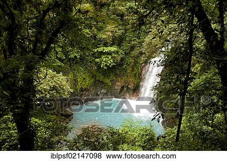 Waterfall with the blue waters of the Rio Celeste in Volcán Tenorio National Park, Costa Rica, Central America, North America View Large Photo Image Stock Photo - Waterfall with the blue waters of the Rio Celeste in Volcán Tenorio National Park, Costa Rica, Central America, North America. Fotosearch