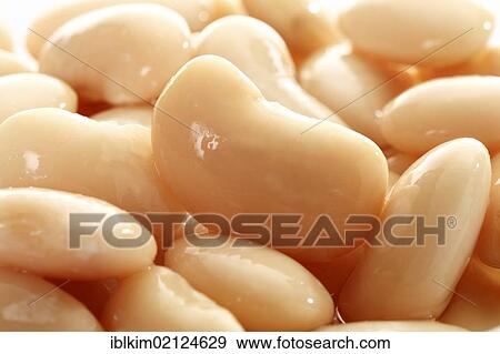 White beans from a can, close-up View Large Photo Image Stock Photo - White beans from a can, close-up. Fotosearch
