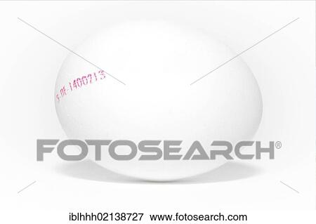 White chicken egg marked with a stamp View Large Photo Image Stock Photo - White chicken egg marked with a stamp. Fotosearch