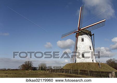 Windmill, Schellemolen from 1867, Damme, West Flanders, Belgium, Europe View Large Photo Image Stock Image - Windmill, Schellemolen from 1867, Damme, West Flanders, Belgium, Europe. Fotosearch