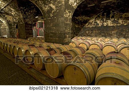 Wine aging in oak barrels in vaulted wine cellar in Bolzano, Bozen, Trentino-Alto Adige, Italy, Europe View Large Photo Image Stock Photo - Wine aging in oak barrels in vaulted wine cellar in Bolzano, Bozen, Trentino-Alto Adige, Italy, Europe. Fotosearch